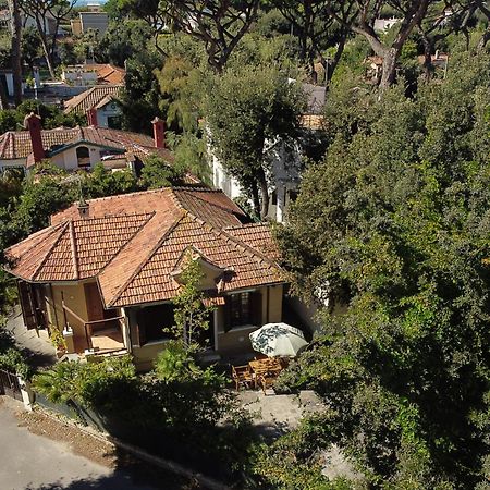 Exclusive Charming Villa - Free Parking 400 Mq Garden - Rome Airport - Roseto Villa Dream Фреджене Екстериор снимка